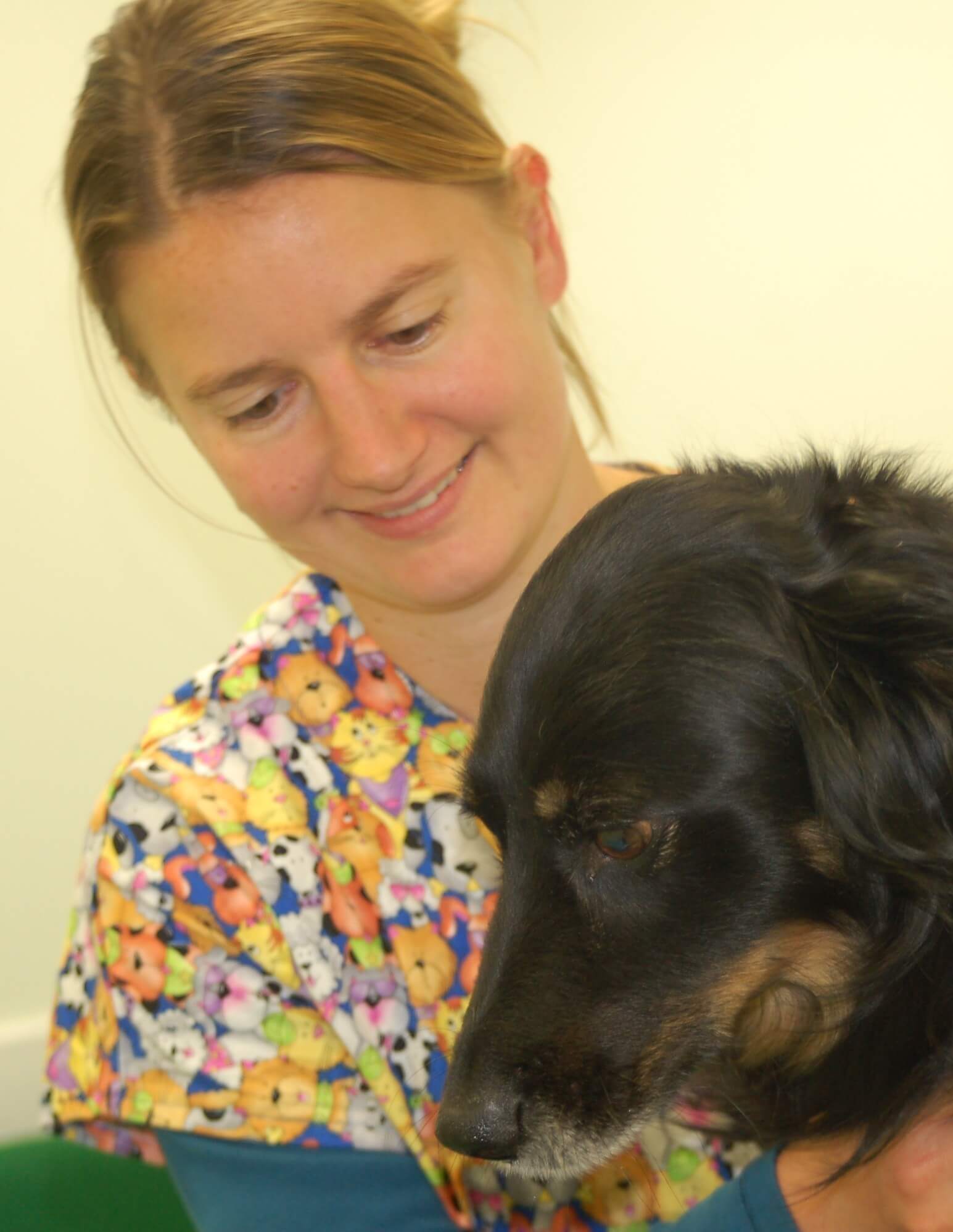 Ariane Neuber, DrMedVet, CertVD, Dipl ECVD, MRCVS